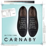 Мужская обувь Весна Лето 2012 © Carnaby