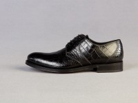 Мужские туфли 2012 © Carlo Pazolini
