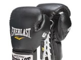 Боксерские перчатки Everlast 2011
